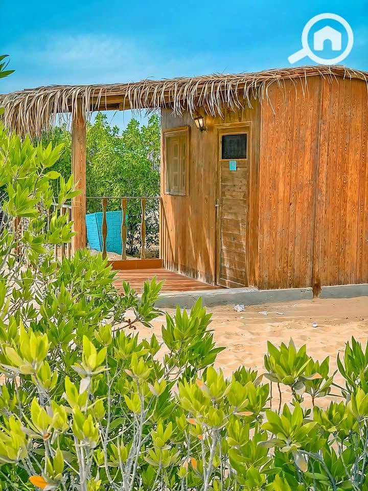 10 573595819_122095495935111903_8074295996119503725_n. jpg