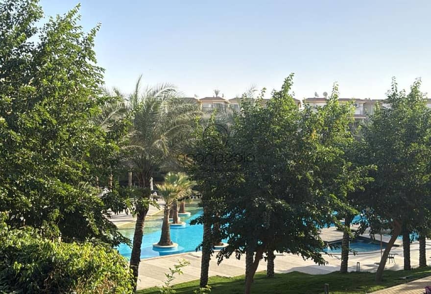 13 c4ea8c67-0cfe-4e2b-ad93-90ea13d80131. jpg