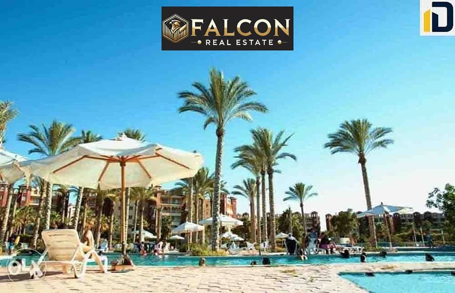 6 6e31a741-c93a-4518-b740-58e44a5eab79. jpg