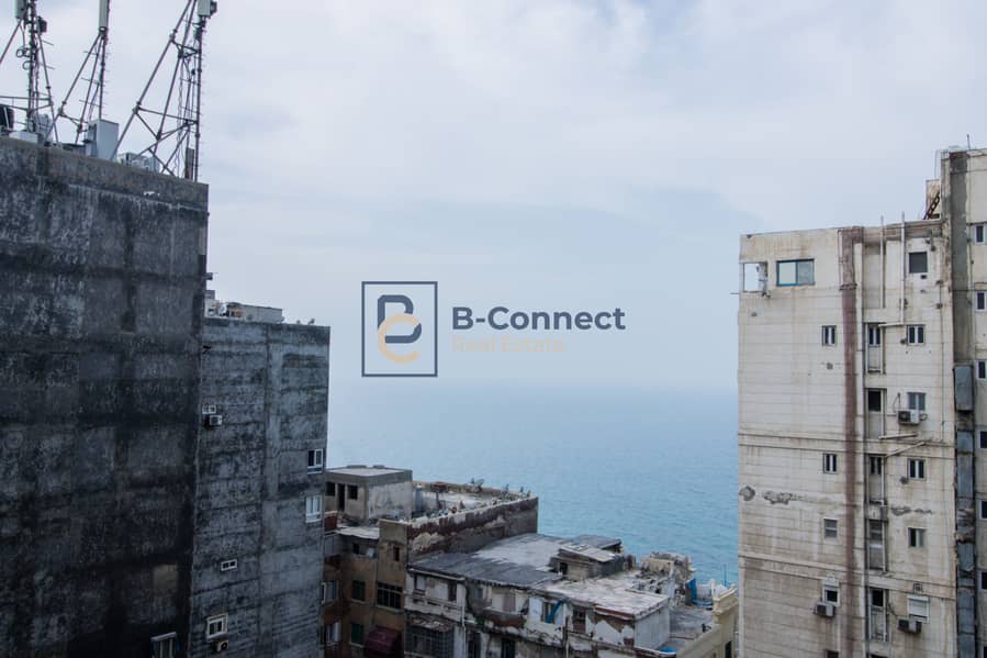 IMG_1224. jpg IMG_1224. jpg