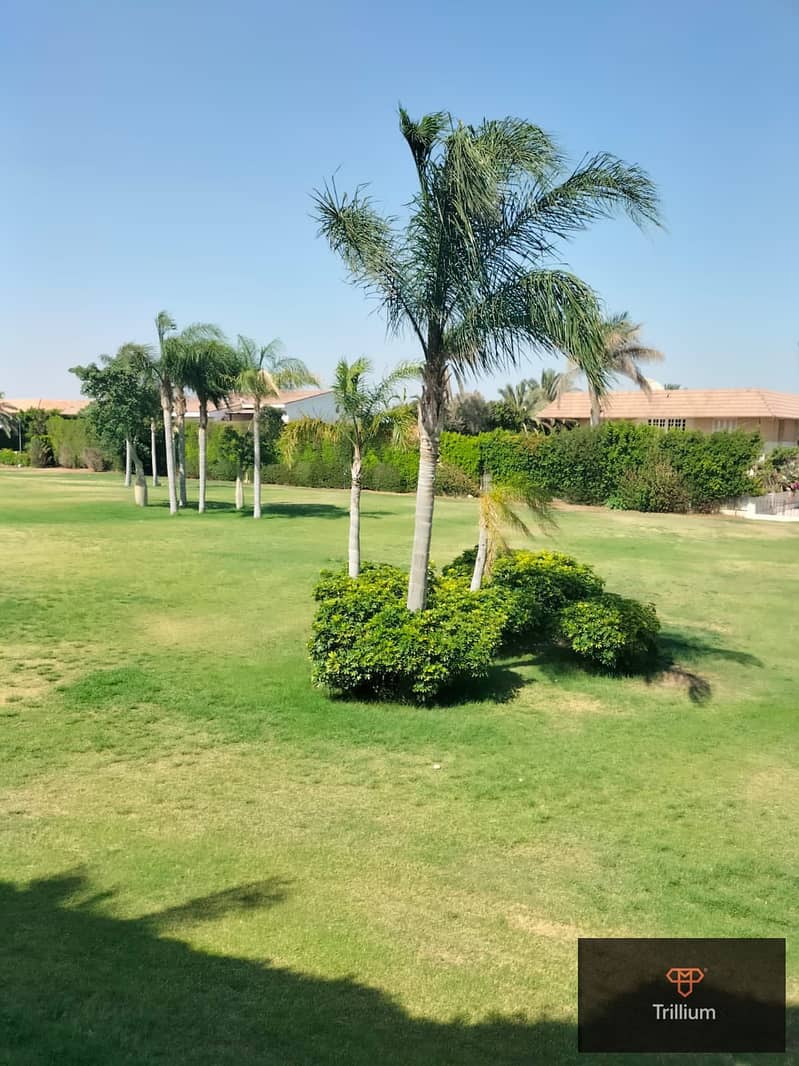 3 492012248_1915542549189304_367552130690010103_n. jpg