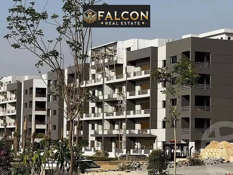 474039698_1343107233351836_4331578957757667699_n. jpg 474039698_1343107233351836_4331578957757667699_n. jpg