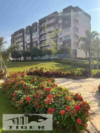 شقة 3 غرف نوم للبيع في مدينتي، القاهرة - 1000484291. jpg شقة 3 غرف نوم للبيع في مدينتي، القاهرة - 1000484291. jpg