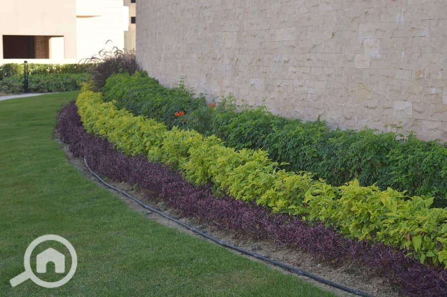 4 WhatsApp Image 2022-10-10 at 4.38. 00 PM. jpeg