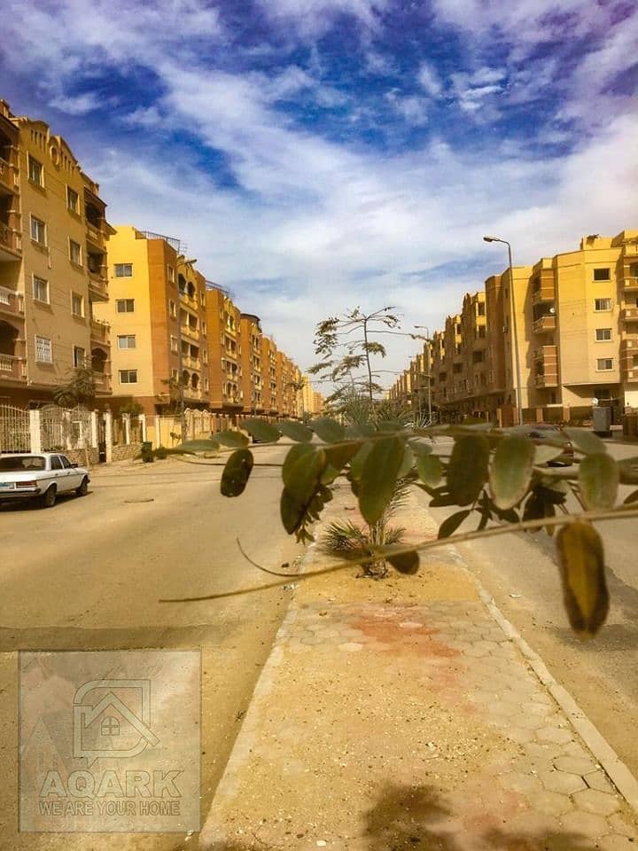 8 66580111_150193979398217_1829212909075431424_n. jpg