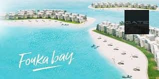 9 فوكا باي 0. jpeg