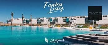 12 فوكا باي 6. jpeg