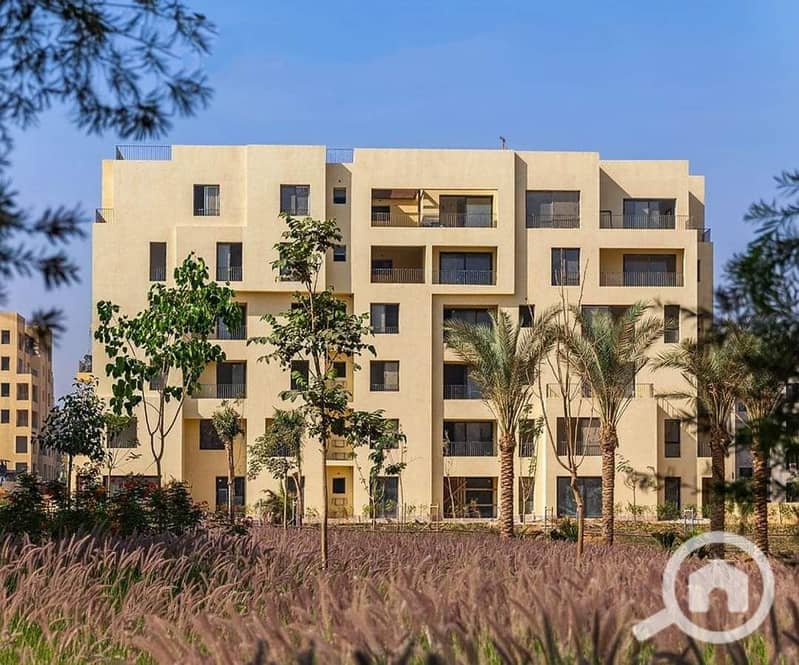 4 WhatsApp Image 2024-11-15 at 4.18. 06 PM (1). jpeg