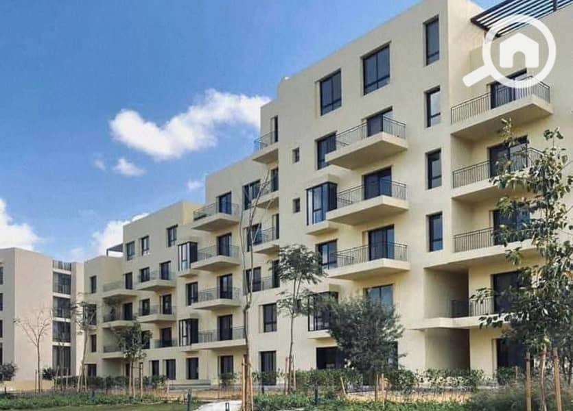 5 WhatsApp Image 2025-02-25 at 2.02. 27 PM (2). jpeg