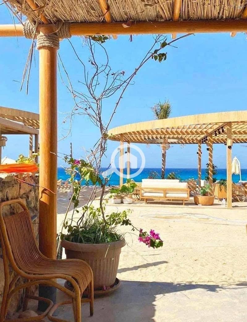 5 528417656_122185484210324160_2429893023804208244_n. jpg