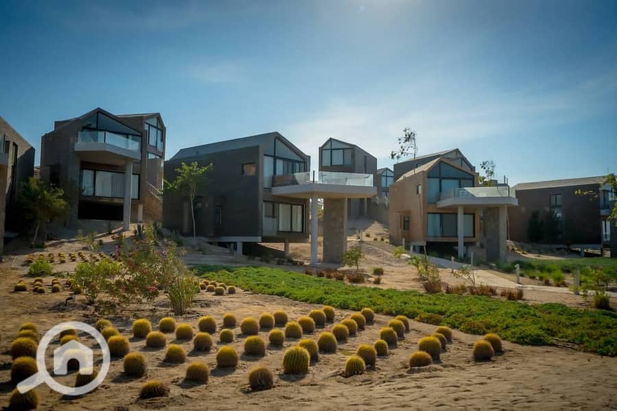 8 527682662_122185473122324160_8453272206587461010_n. jpg