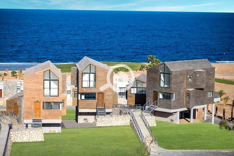 10 502585085_2509589369375463_8782641529400056468_n. jpg