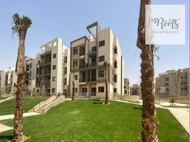 9 Fifth 6_800x600. jpg