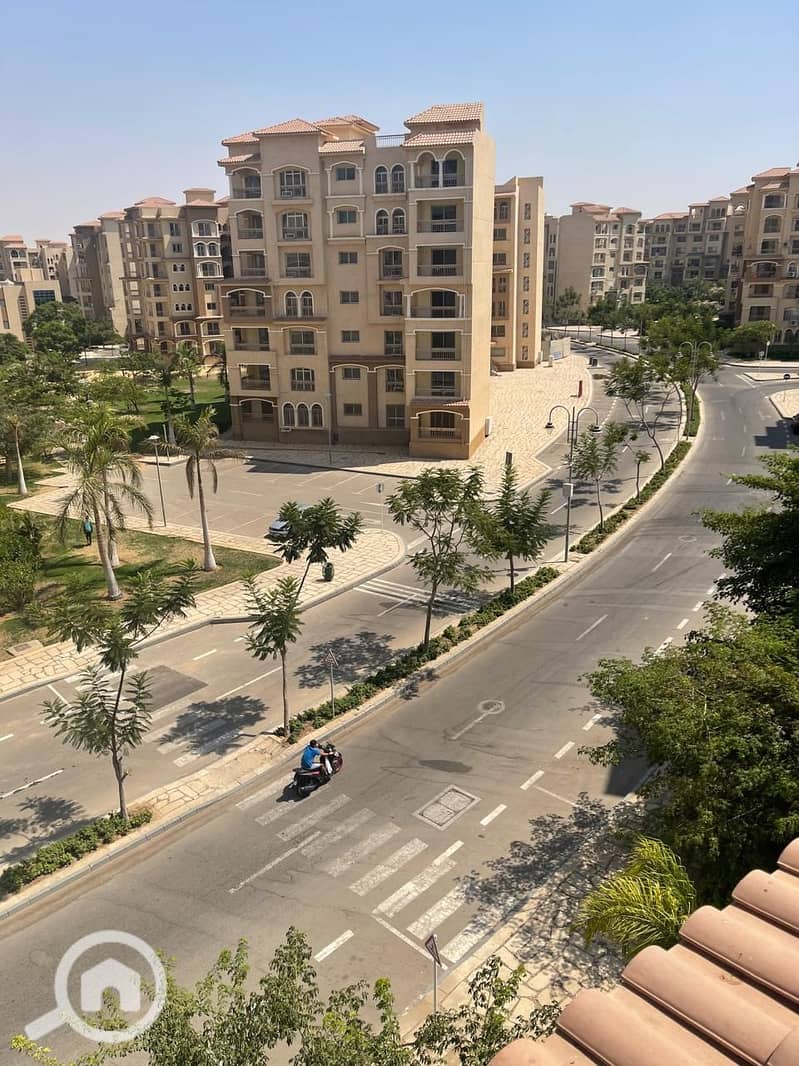 53d2e120-289e-446a-8411-b1bd7bc51df8. jpeg