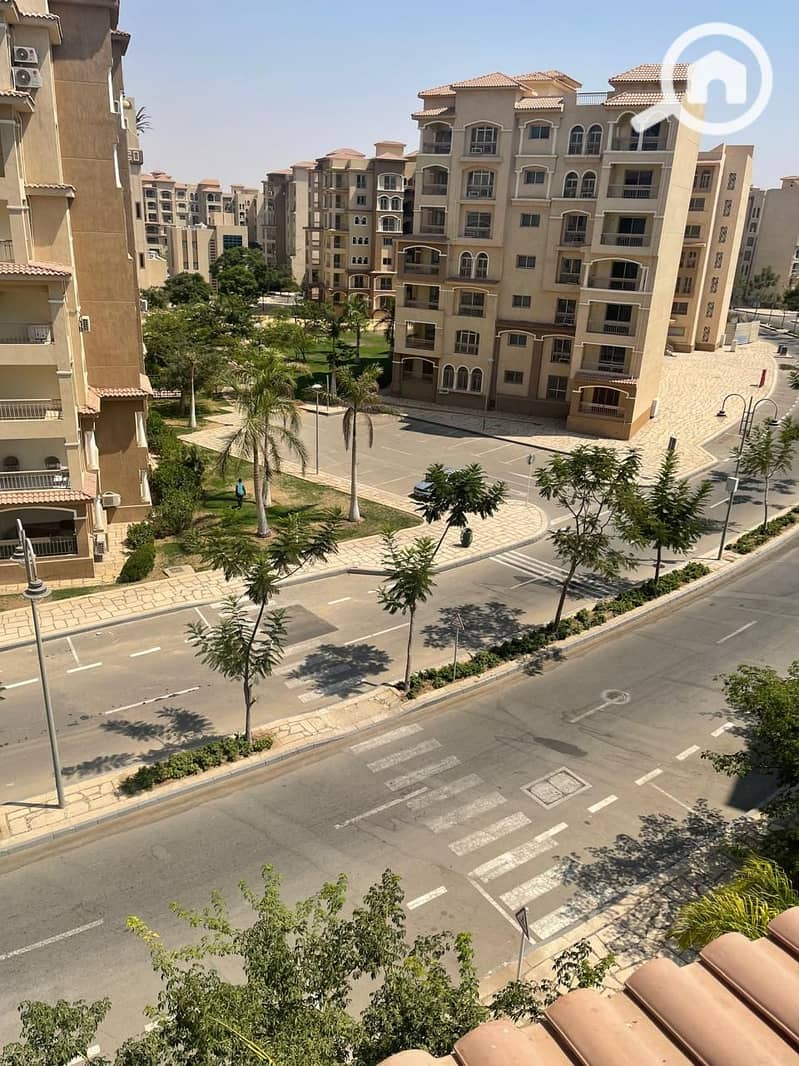 8 7384c7d3-060c-4fc0-ad6a-7c497bea3b9d. jpeg