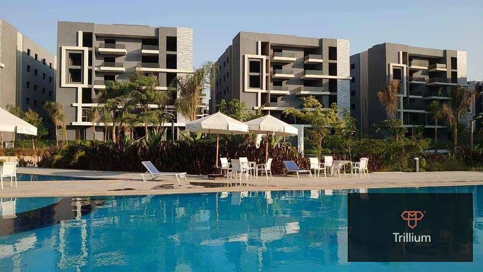 426039633_7394783283911673_3310974026026004437_n. jpg