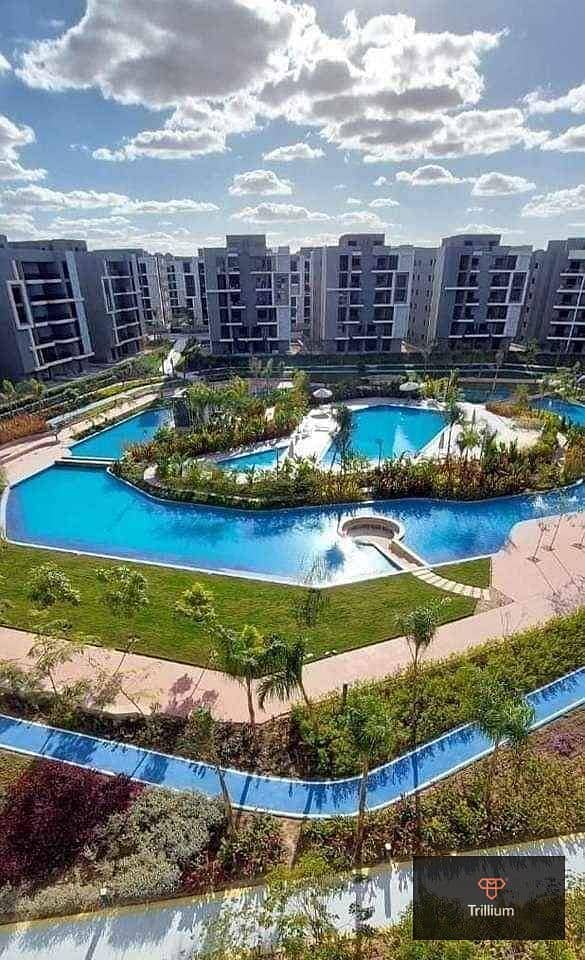 5 426118709_6833753356722859_6056129698702153261_n. jpg