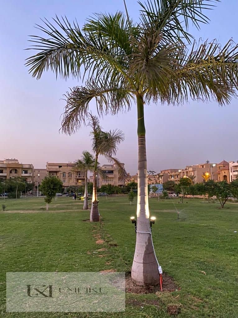 6 IMG-20251122-WA0137. jpg