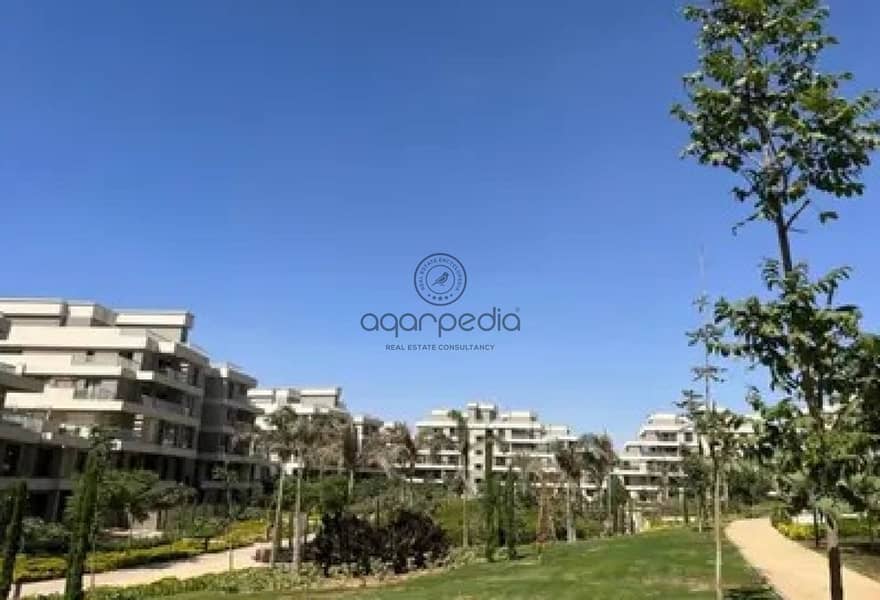 4 82e95bfe-4a6c-4485-b54b-6246318779ee. jpg