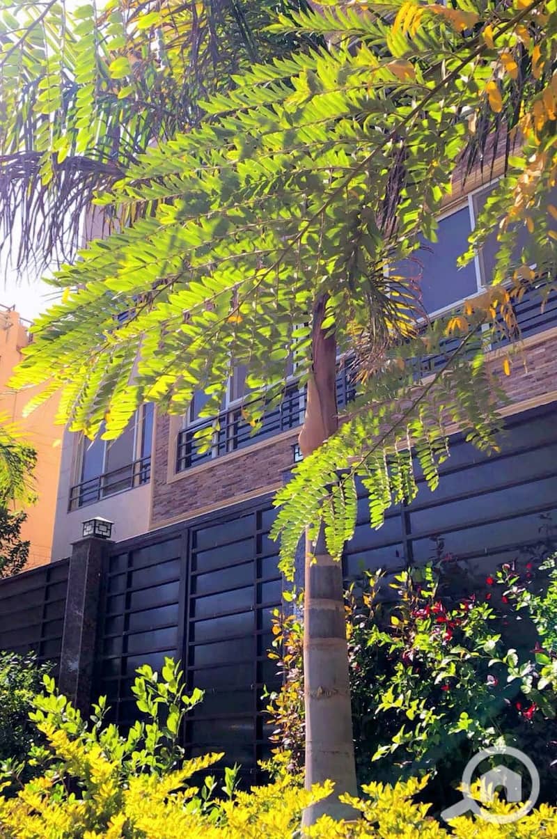 WhatsApp Image 2025-09-15 at 5.21. 34 PM. jpeg WhatsApp Image 2025-09-15 at 5.21. 34 PM. jpeg