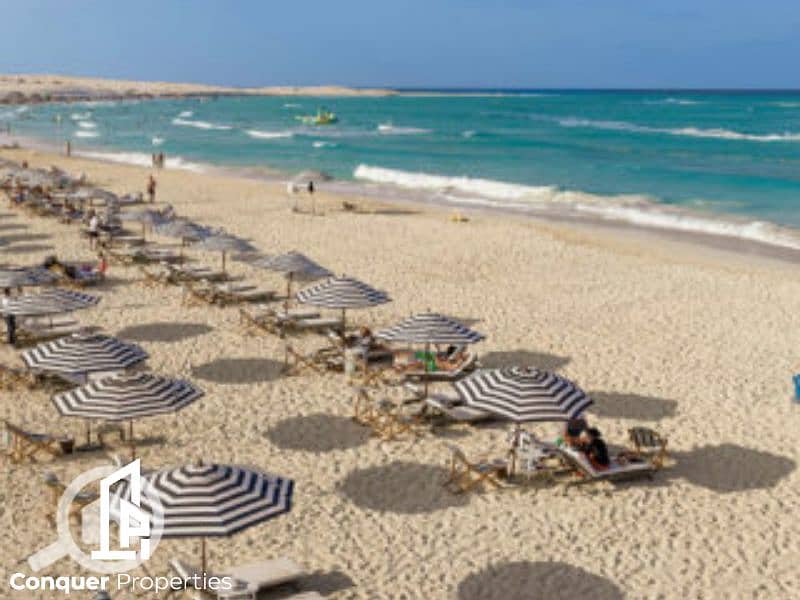 5 Untitled design - 2023-10-16T144741.409 (2). png