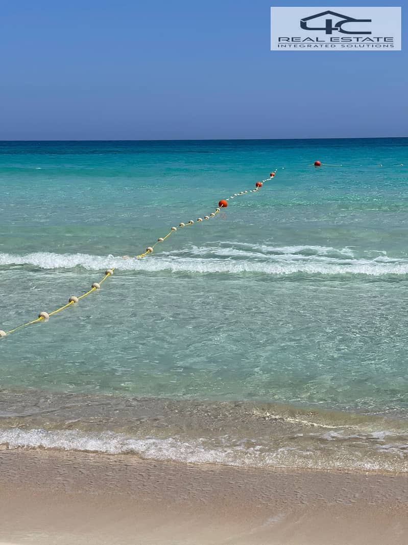 5 WhatsApp Image 2024-06-24 at 1.55. 08 PM. jpeg