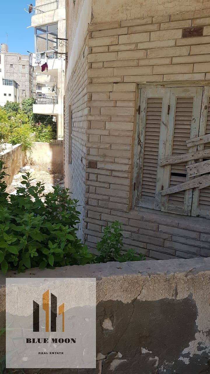 3 WhatsApp Image 2025-06-24 at 4.07. 23 PM (1). jpeg