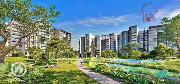 6 582999528_25547001478236759_4743601564900092799_n. jpg