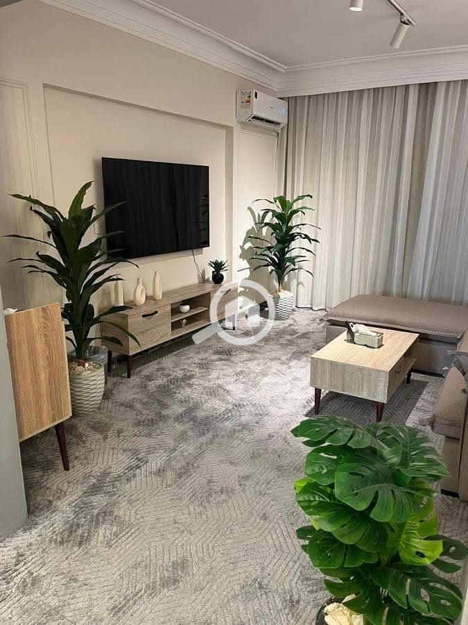 8 558948273_122123667962982109_3222500658172815859_n. jpg