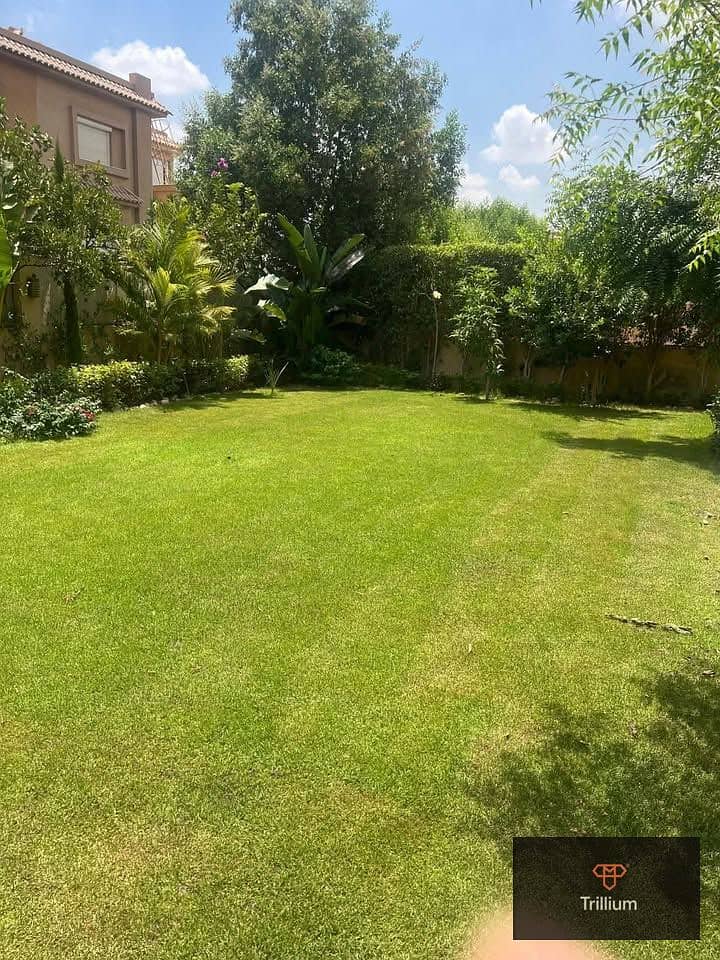 10 547582872_784228737551372_7646540976154564973_n. jpg