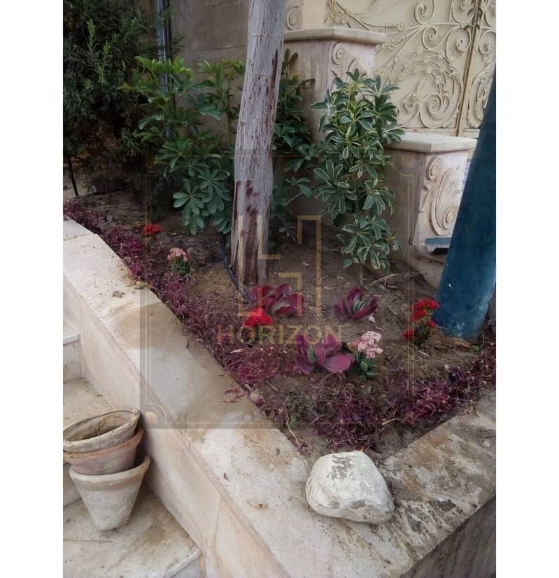 16 WhatsApp Image 2025-11-05 at 3.45. 46 PM. jpg