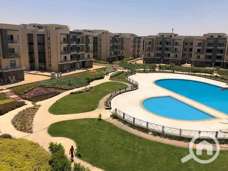 7 94430215_3184552561564395_4132144621952172032_n. jpg