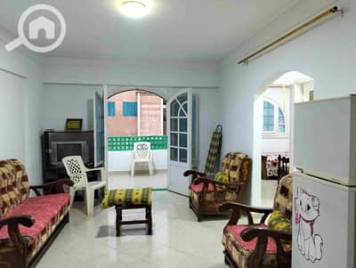 فلیٹ 2 غرفة نوم للبيع في النخيل، الإسكندرية - 1000461922. jpg