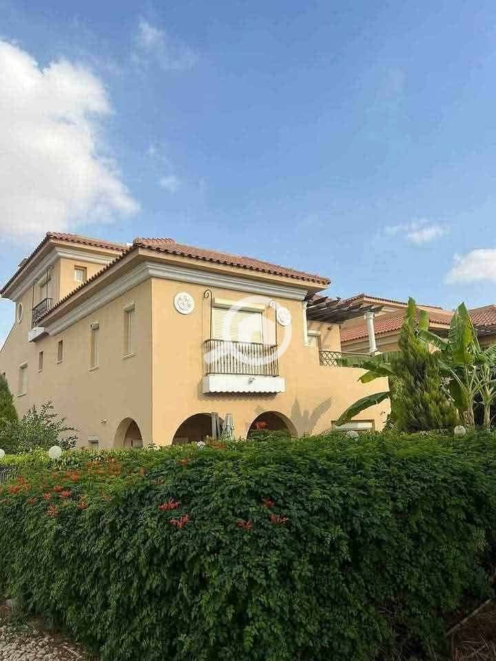 5 497011089_122204155802118616_3967014261426406026_n. jpg