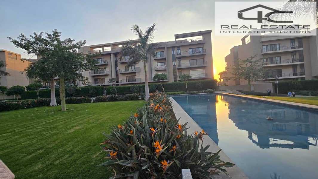 3 20251117_162253. jpg