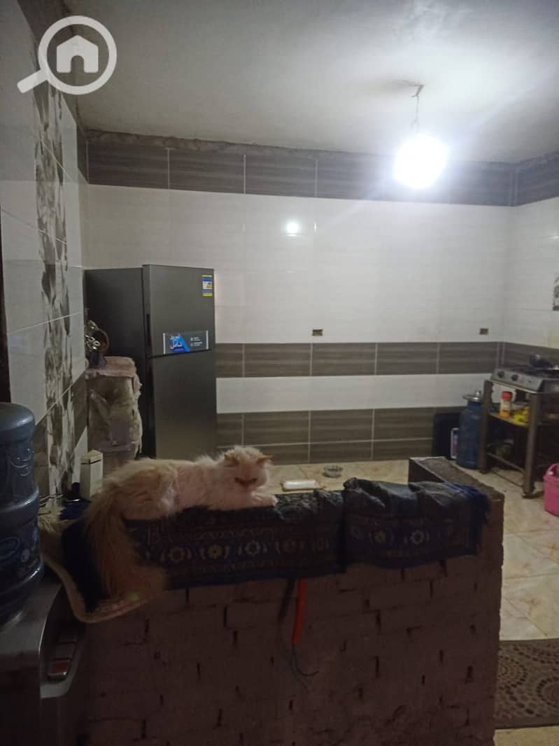 11 WhatsApp Image 2025-11-23 at 7.14. 18 PM. jpeg