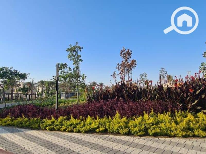 6 Untitled design (101). png