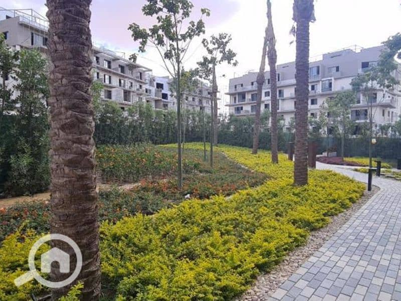 7 Untitled design (111). png