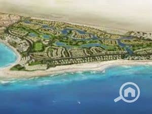 5 Untitled-design-26-2-300x225 - Copy - Copy. png