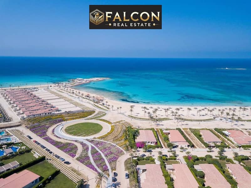 3 WhatsApp Image 2025-07-16 at 13.34. 51_a4411572. jpg