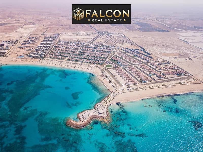 10 WhatsApp Image 2025-07-16 at 13.34. 54_9831c3d5. jpg