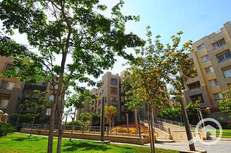 شقة 2 غرفة نوم للايجار في القاهرة الجديدة، القاهرة - 2. jpg شقة 2 غرفة نوم للايجار في القاهرة الجديدة، القاهرة - 2. jpg