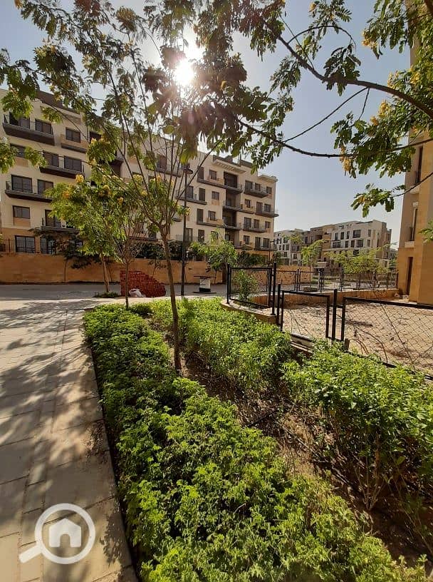 10 75543524_572671343468605_8769008567597400064_n. jpg