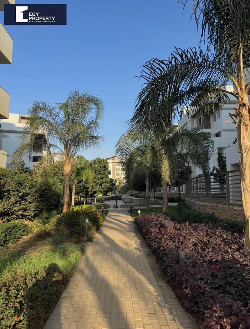 3 WhatsApp Image 2025-11-23 at 3.41. 24 AM. jpeg