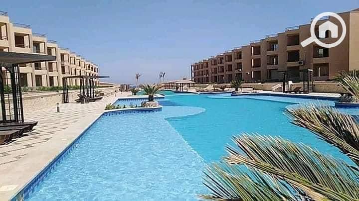 3 WhatsApp Image 2025-06-10 at 18.12. 56. jpeg