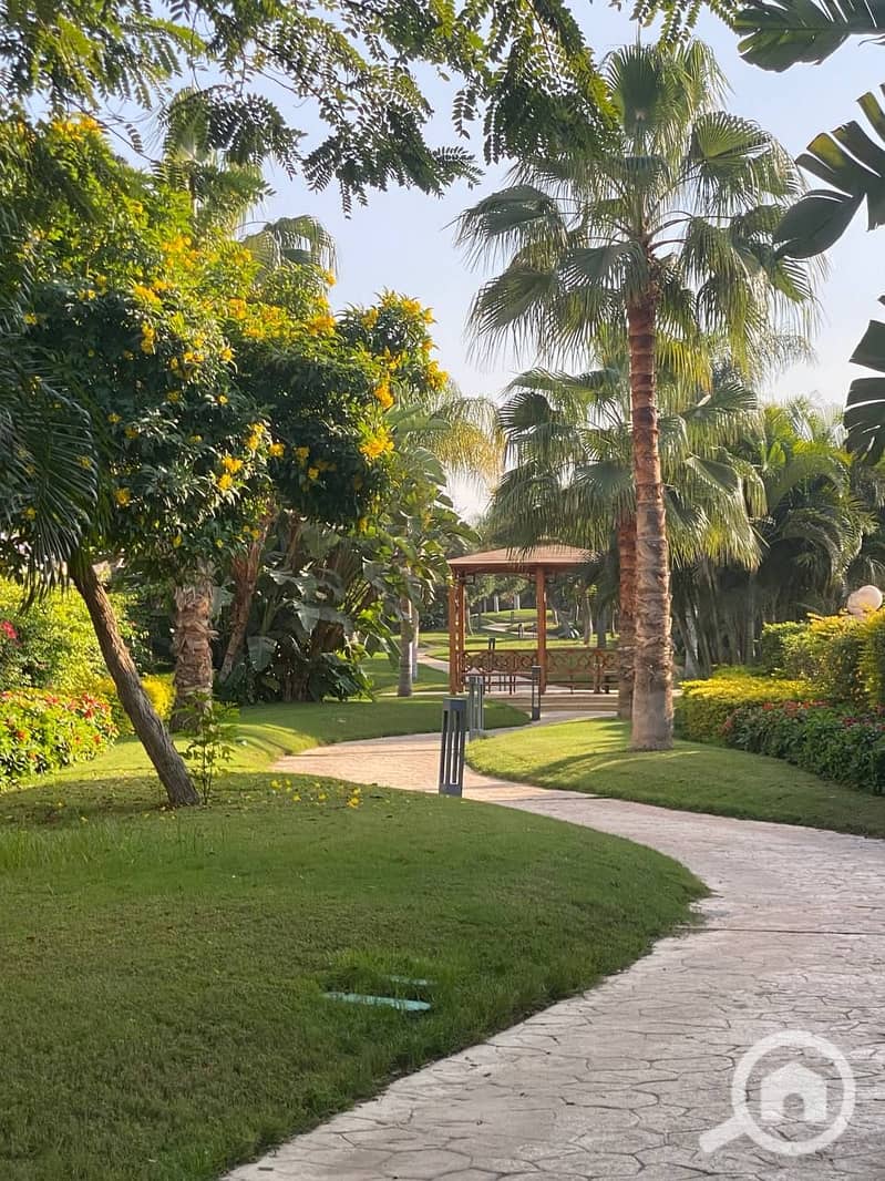 9 photo_2023-12-06_21-31-47. jpg