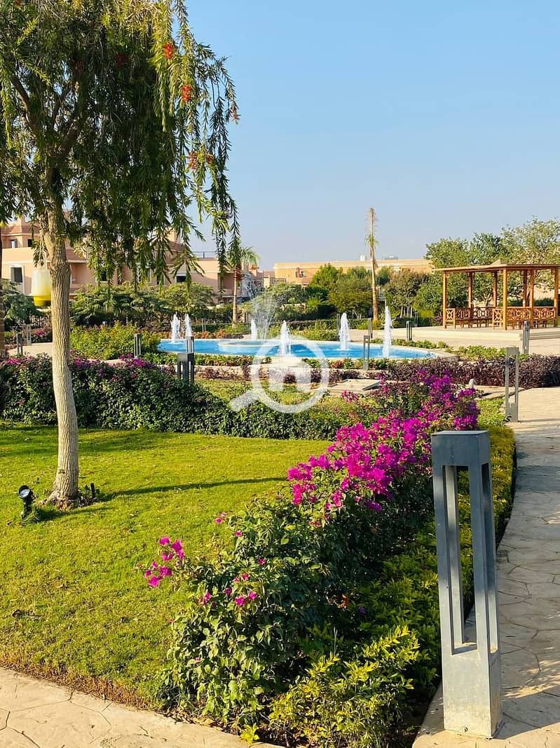 6 photo_2024-12-05_15-49-17. jpg