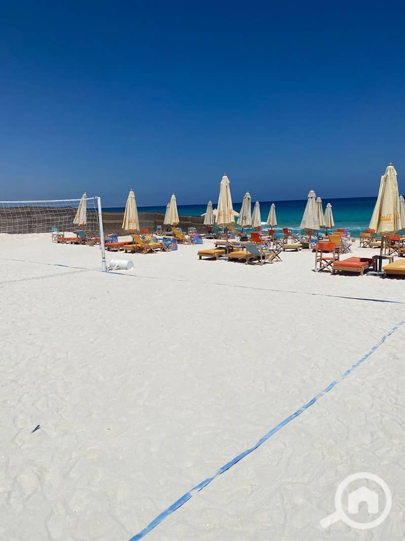 8 photo_2025-08-12_21-34-13. jpg