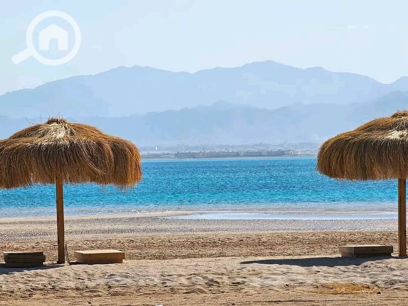 2 536435092_122224555388252188_3195643171057206219_n. jpg