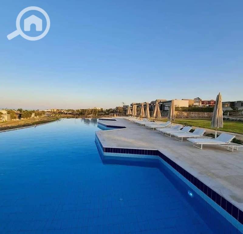 7 585878882_2223913058132439_7159180896178356702_n. jpg